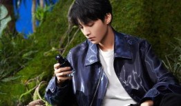 近期娱乐爆料王俊凯视频,娱乐爆料引发网友热议