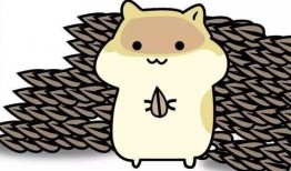 娱乐圈吃瓜爆料pdf知乎小霞